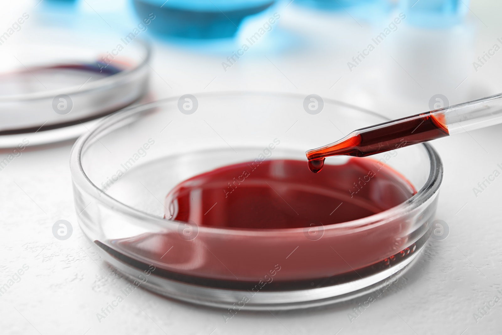 Image of Dripping blood from pipette into Petri dish on table, closeup. Laboratory analysis