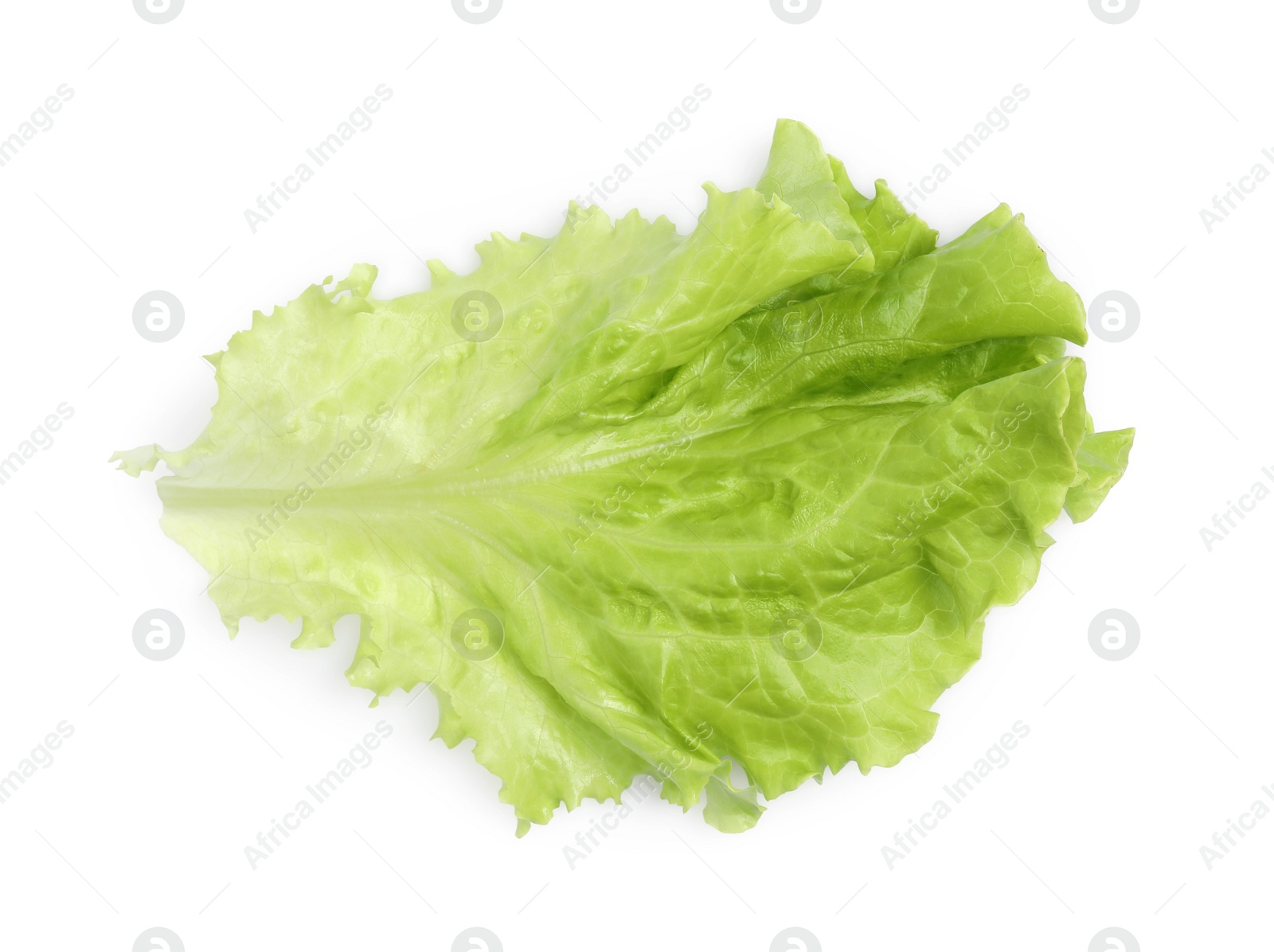 Photo of Fresh green lettuce leaf isolated on white, top view