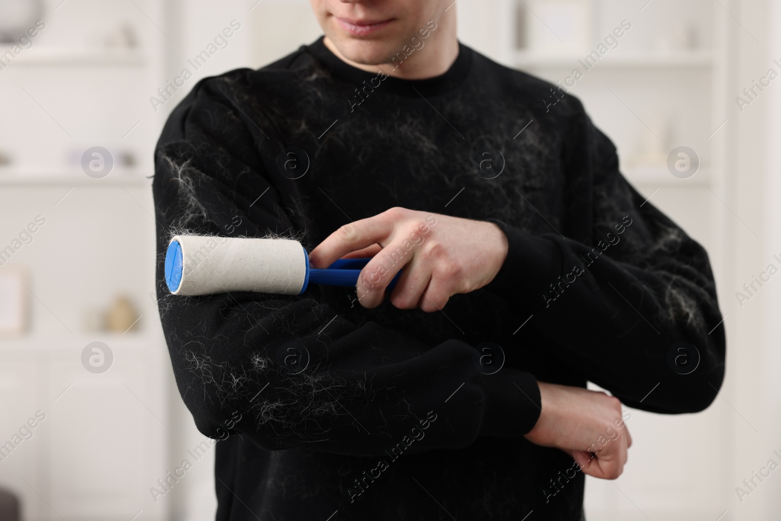 Photo of Pet shedding. Man with lint roller removing dog's hair from sweater at home, closeup