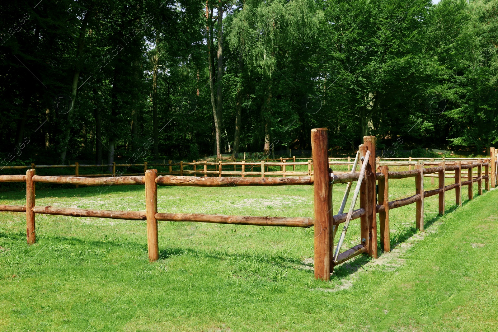 Photo of Beautiful view of wooden paddock, forest and green grass