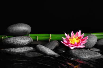 Photo of Beautiful zen garden with lotus flower and pond on black background. Space for text