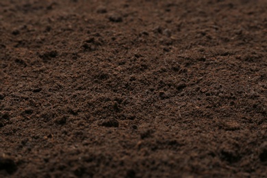 Textured ground surface as background, closeup. Fertile soil