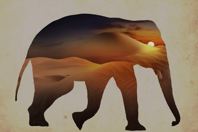 Image of Double exposure of elephant and sandy desert