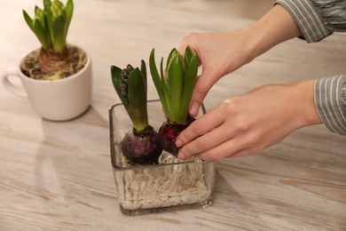 Photo of Woman planting hyacinth flower at white wooden table, closeup