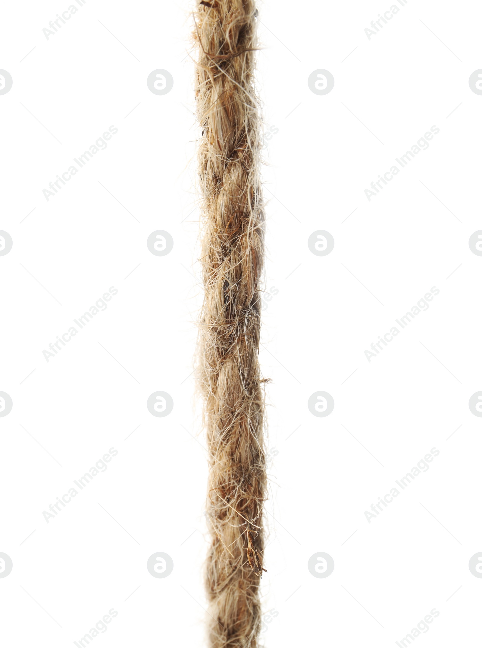 Photo of Hemp rope on white background. Organic material