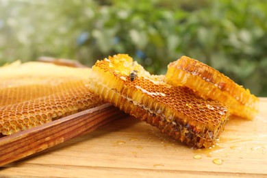 Photo of Fresh delicious honeycombs and hive frame on wooden table
