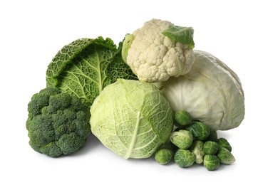 Many different fresh ripe cabbages on white background