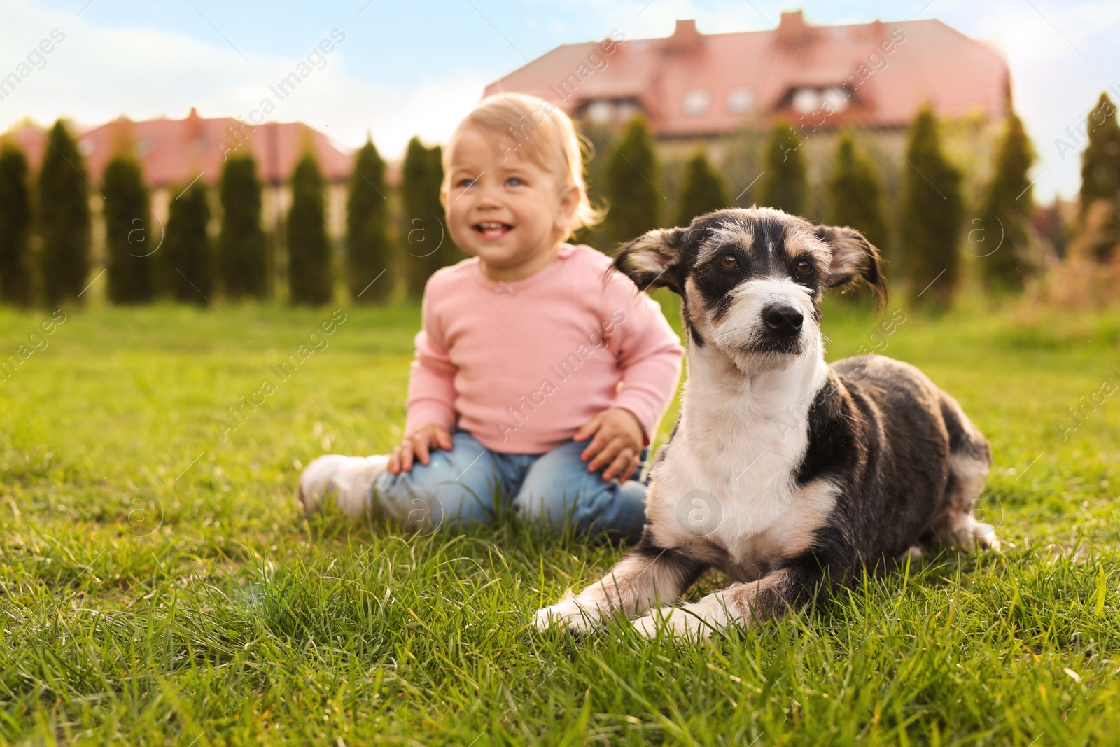 Photo of Adorable baby and furry little dog on green grass outdoors