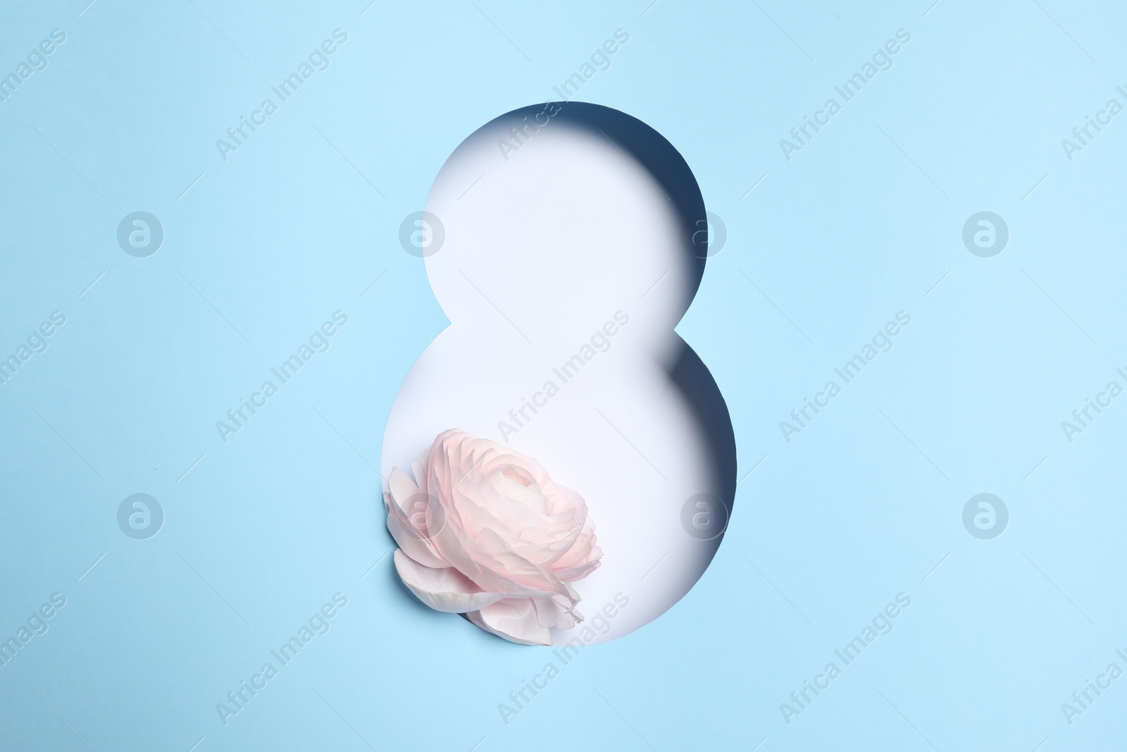 Photo of 8 March greeting card design with ranunculus flower, top view. Happy International Women's Day