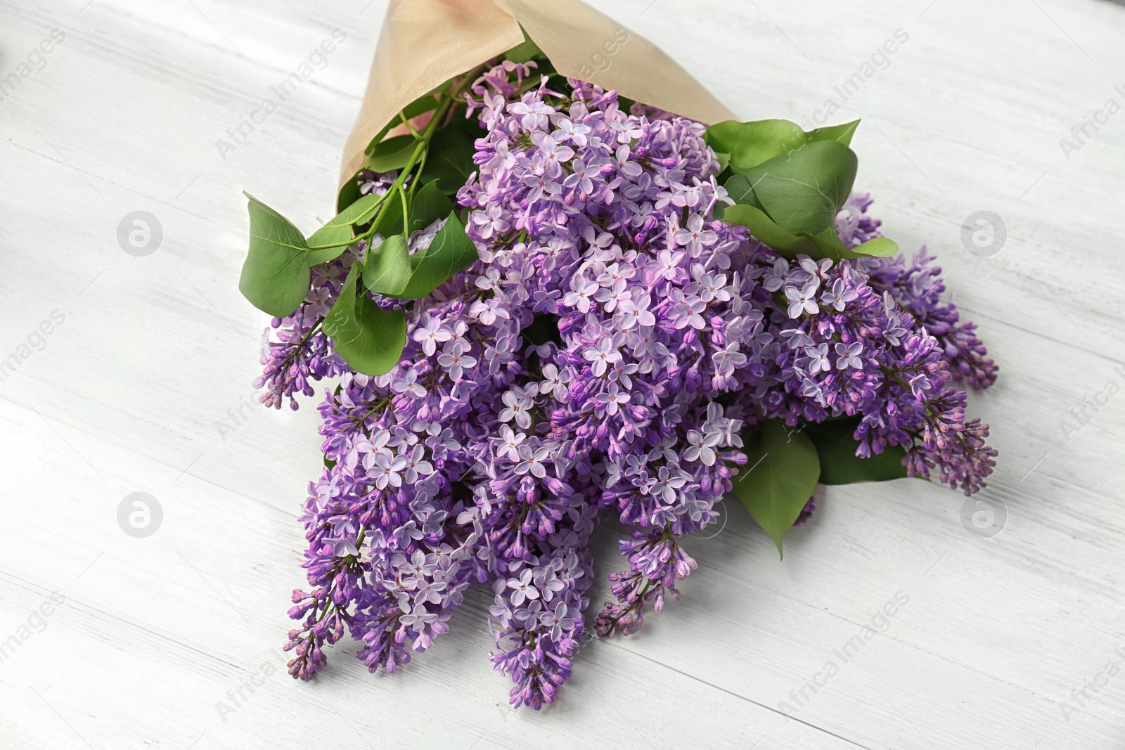 Photo of Blossoming lilac on light background. Spring flowers