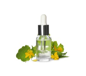 Photo of Bottle of essential oil and celandine on white background