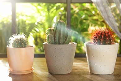 Beautiful cacti on wooden window sill indoors