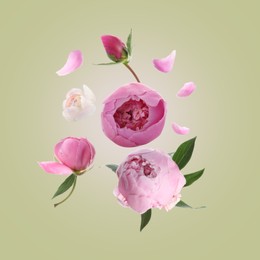 Image of Beautiful peony flowers flying on light background