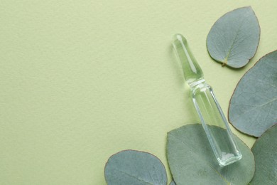 Pharmaceutical ampoule with medication and eucalyptus leaves on green background, flat lay. Space for text