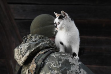 Photo of Little stray cat on Ukrainian soldier's shoulder. Space for text
