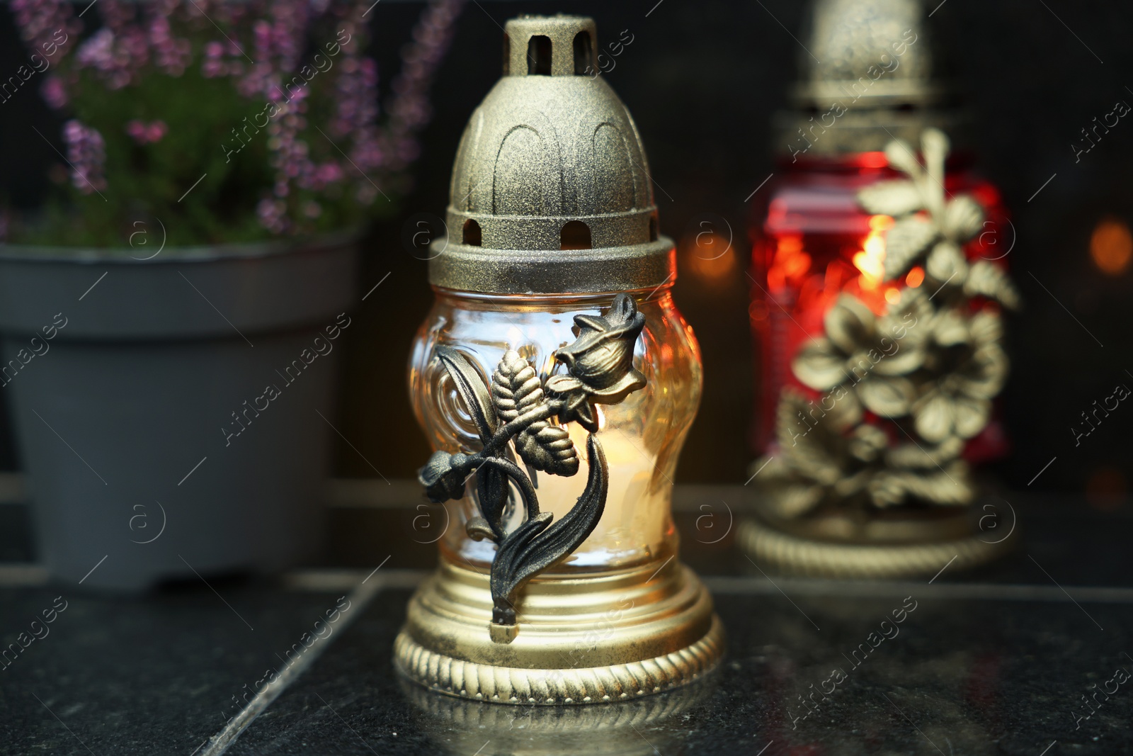 Photo of Grave lights with potted heather on granite surface at cemetery, closeup