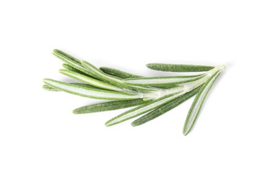 Photo of Fresh green rosemary twig on white background, top view