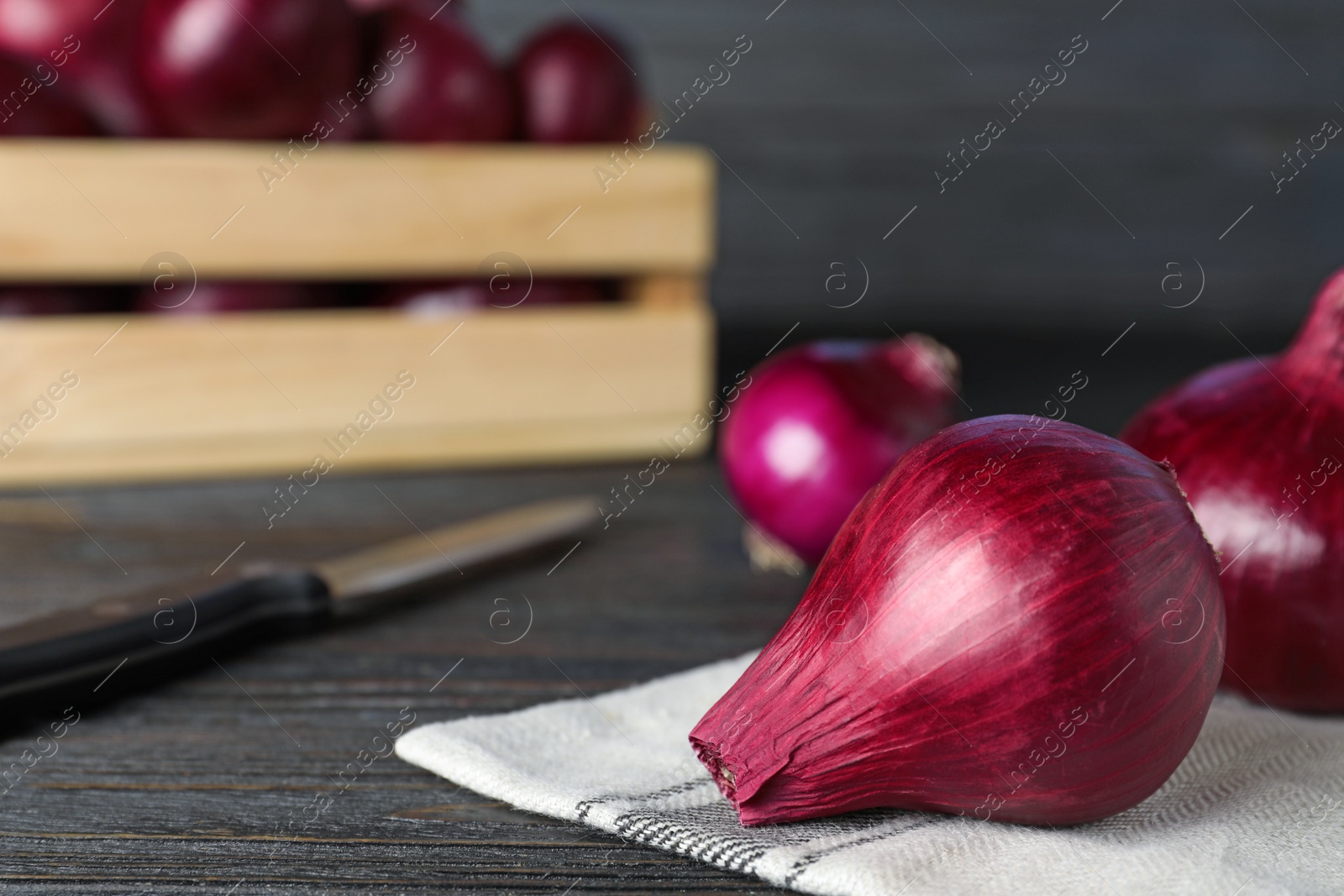 Photo of Fresh whole red onion bulb on dark wooden table, closeup. Space for text