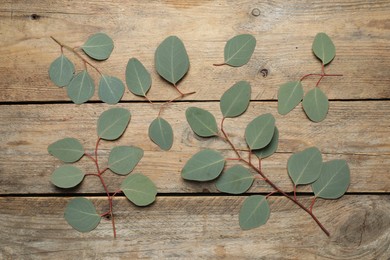 Photo of Eucalyptus branches with fresh green leaves on wooden table, flat lay
