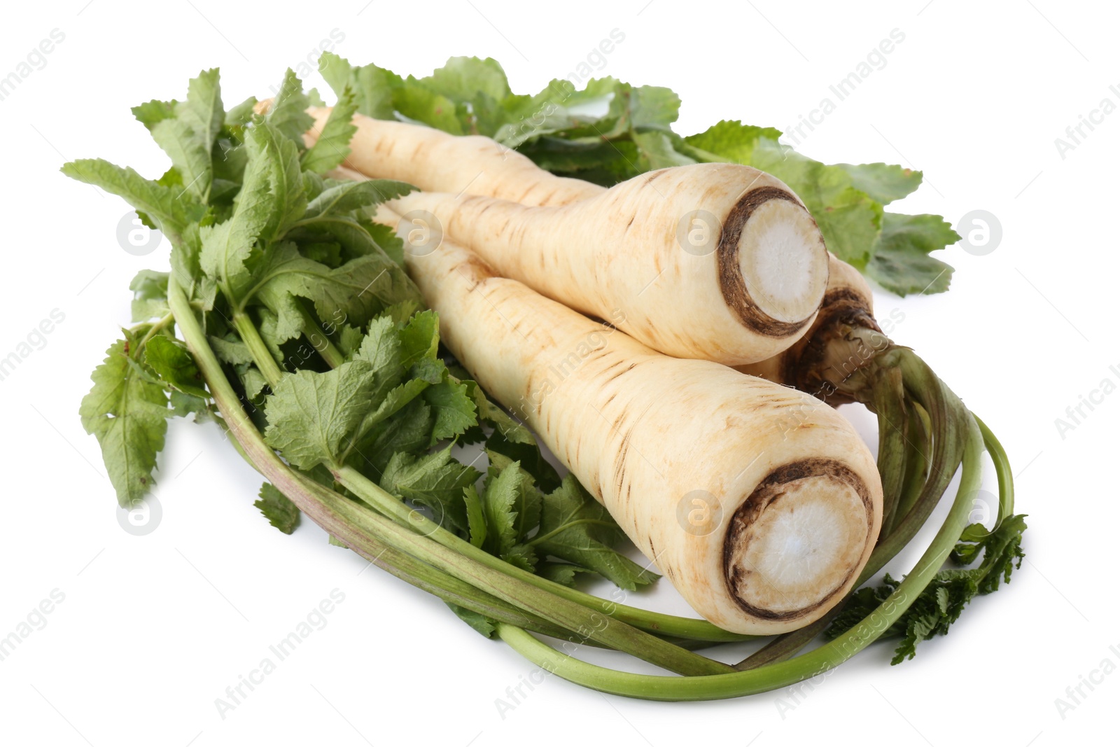 Photo of Tasty fresh ripe parsnips on white background