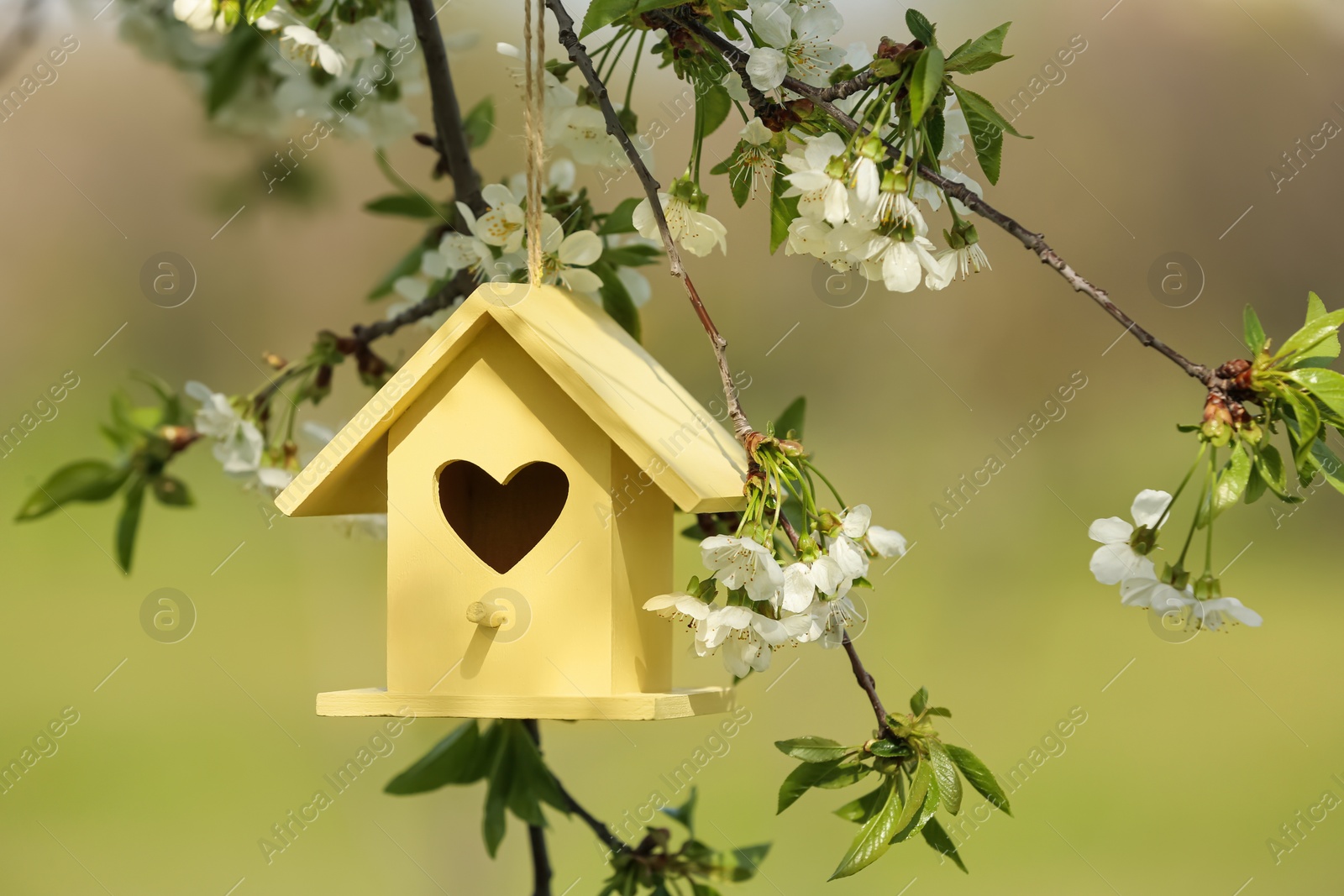 Photo of Yellow bird house with heart shaped hole hanging from tree branch outdoors