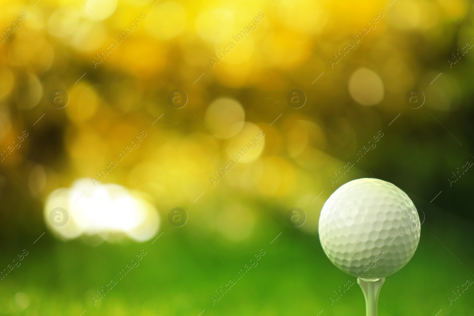 Image of Golf ball on tee in sunny summer park. Space for design