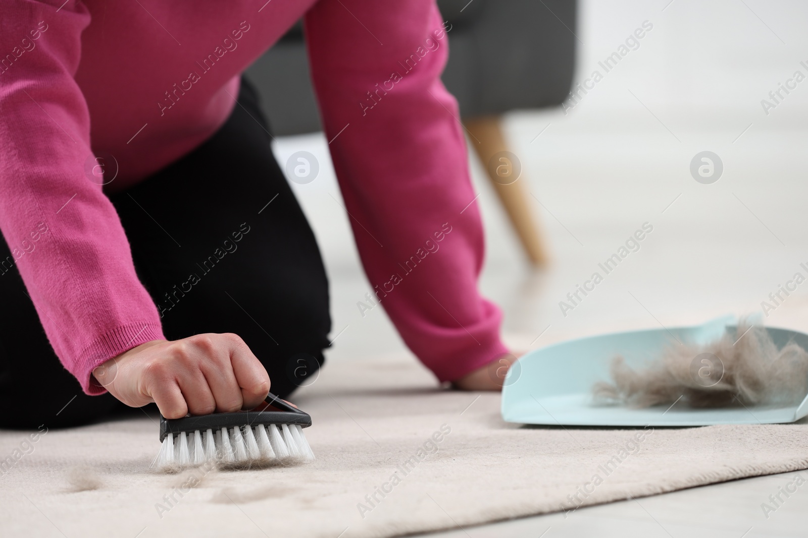 Photo of Woman with brush removing pet hair from carpet at home, closeup