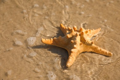 Beautiful sea star on sandy beach, space for text