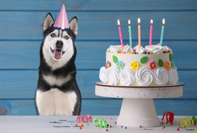 Image of Cute dog with party hat and delicious birthday cake on blue wooden background