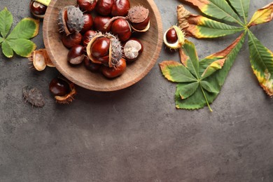 Photo of Horse chestnuts and leaves on grey table, flat lay. Space for text