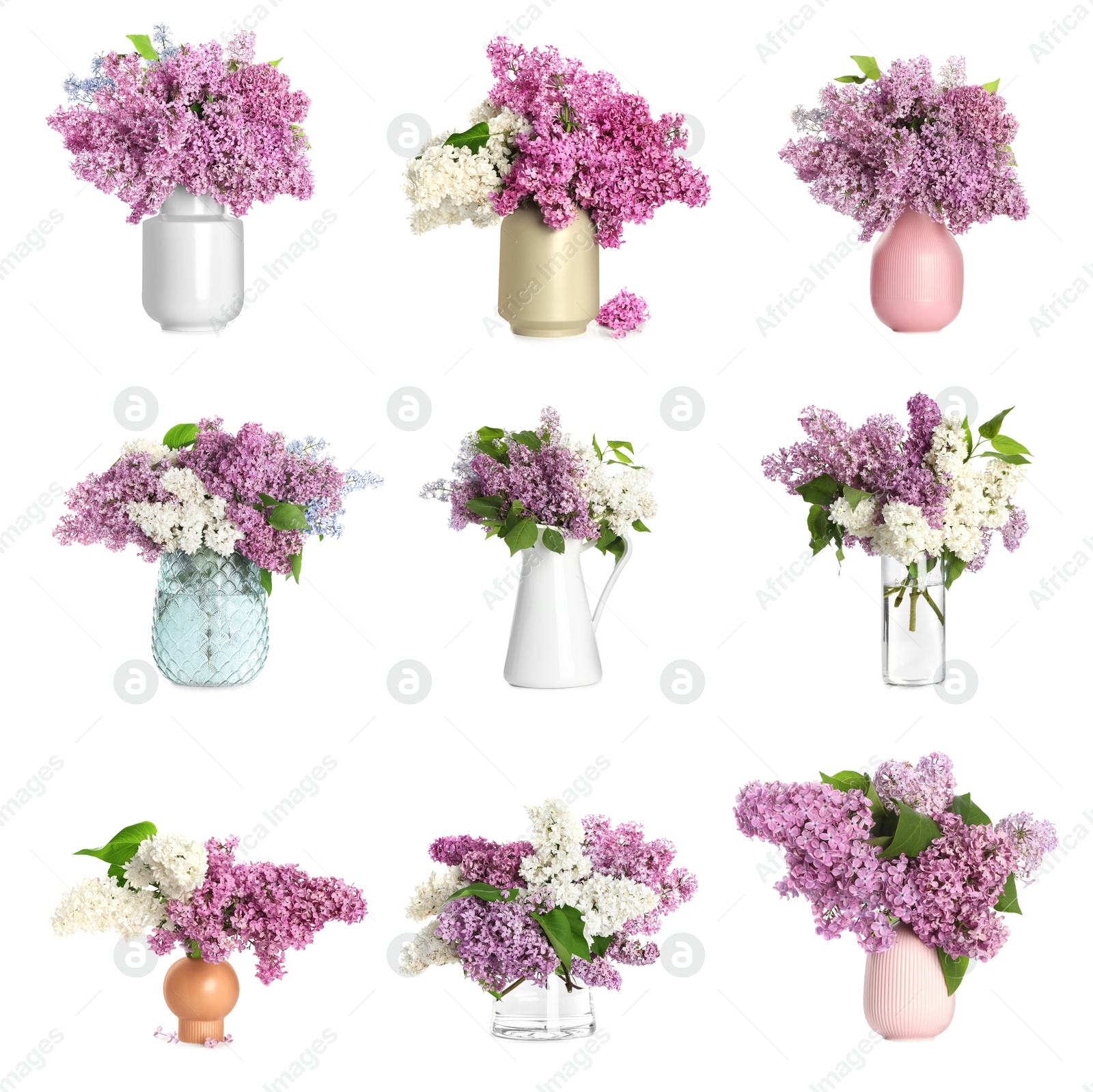 Image of Collage with many beautiful lilac branches in different vases on white background