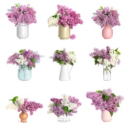 Collage with many beautiful lilac branches in different vases on white background