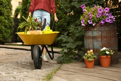 Photo of Female gardener with wheelbarrow and plants outdoors, closeup