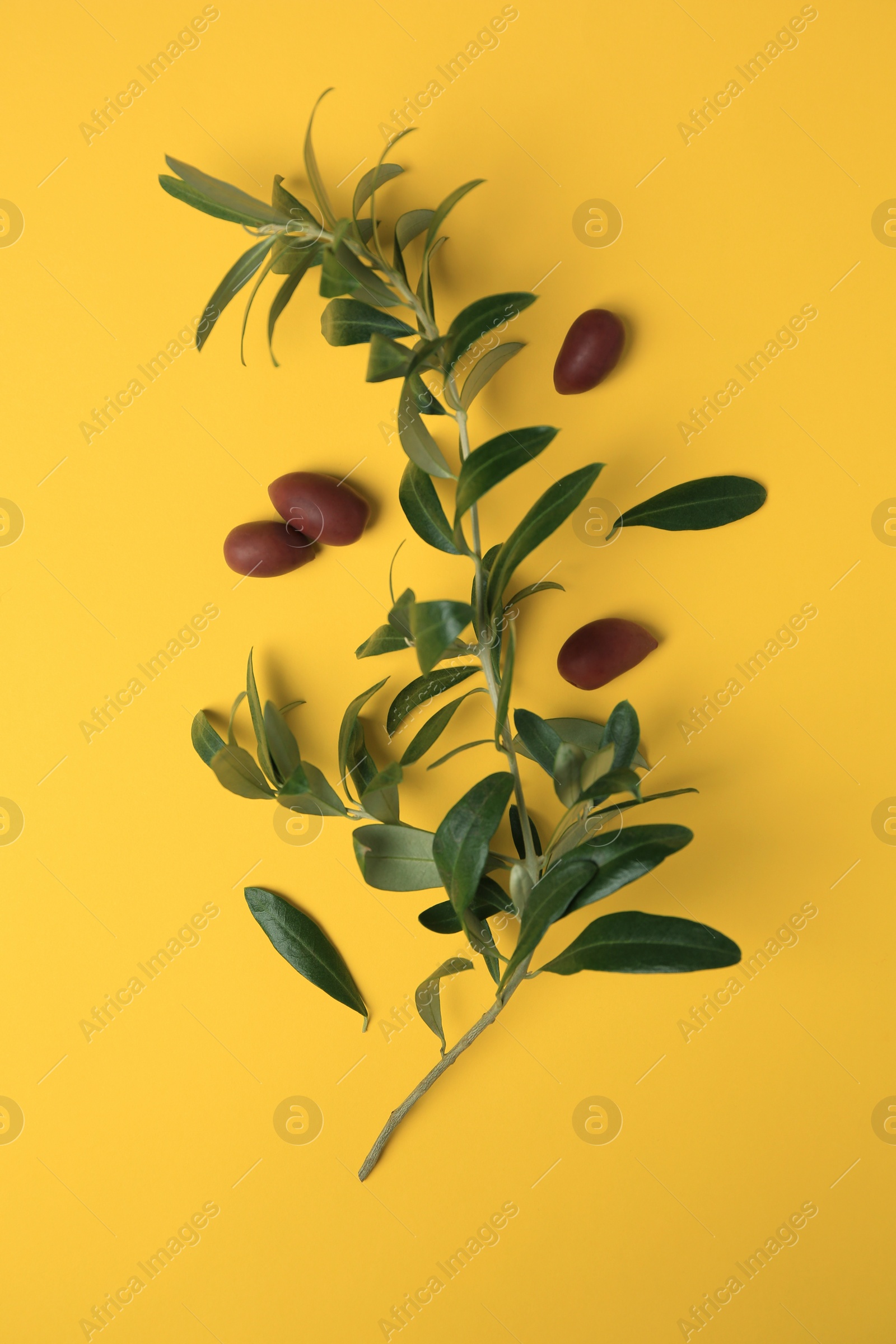 Photo of Fresh olives and green leaves on yellow background, flat lay