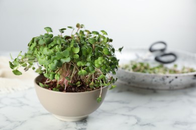 Fresh radish microgreens in bowl on white marble table, space for text