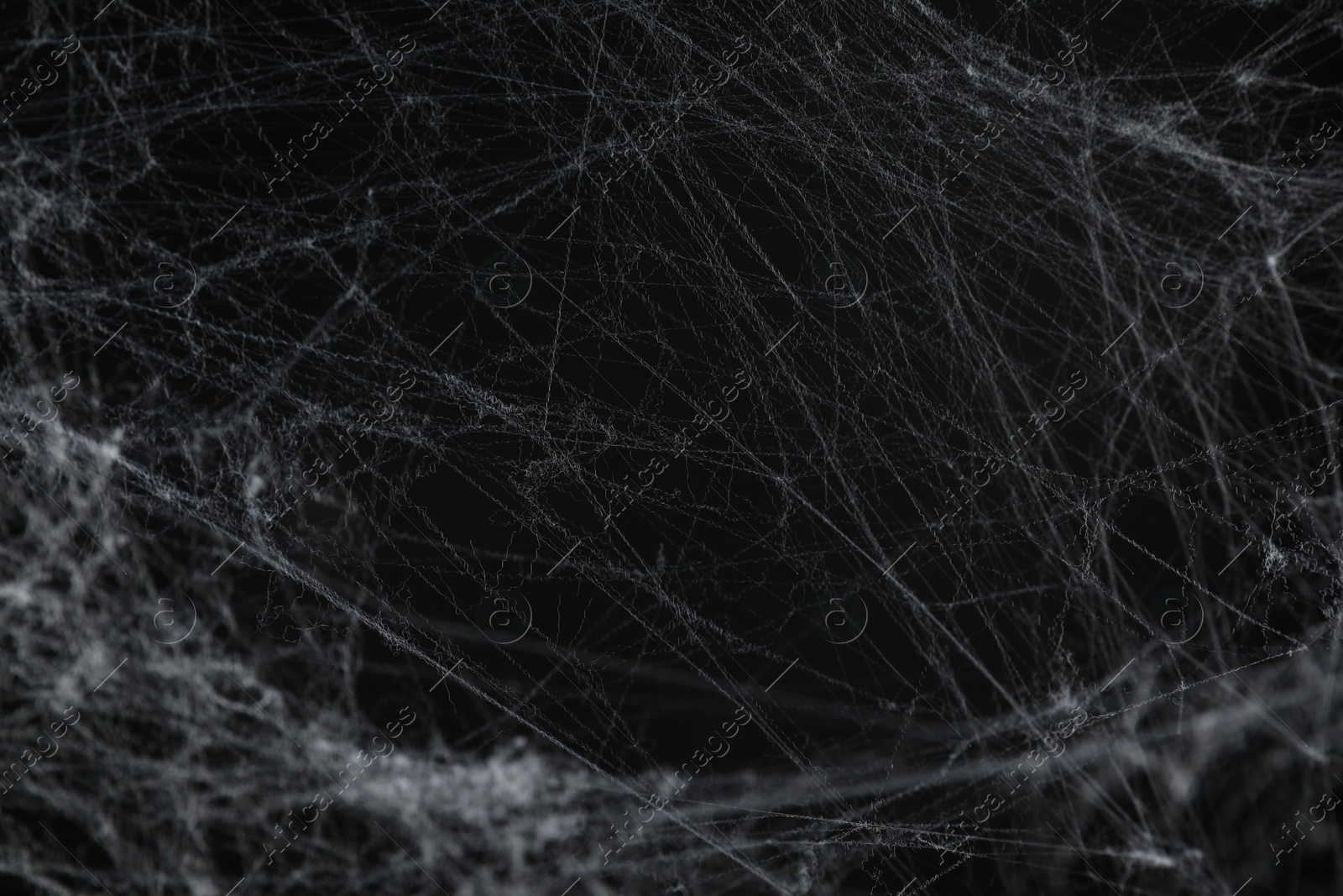 Photo of Creepy white cobweb on black background, closeup