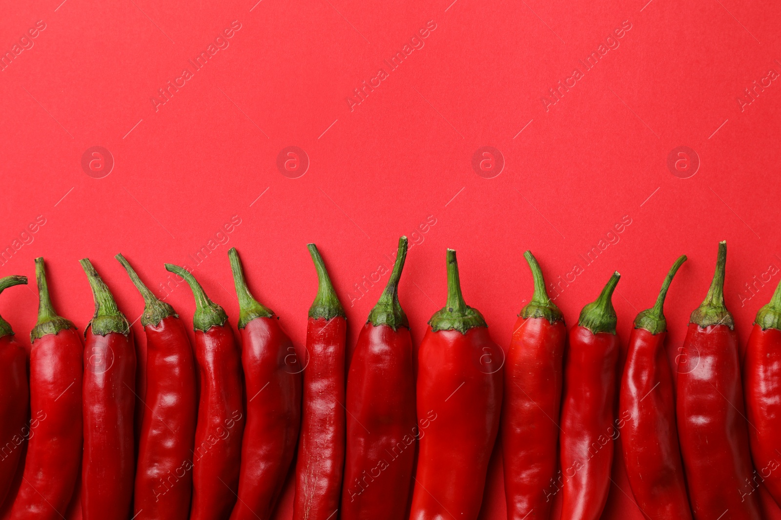 Photo of Flat lay composition with fresh chili peppers and space for text on color background