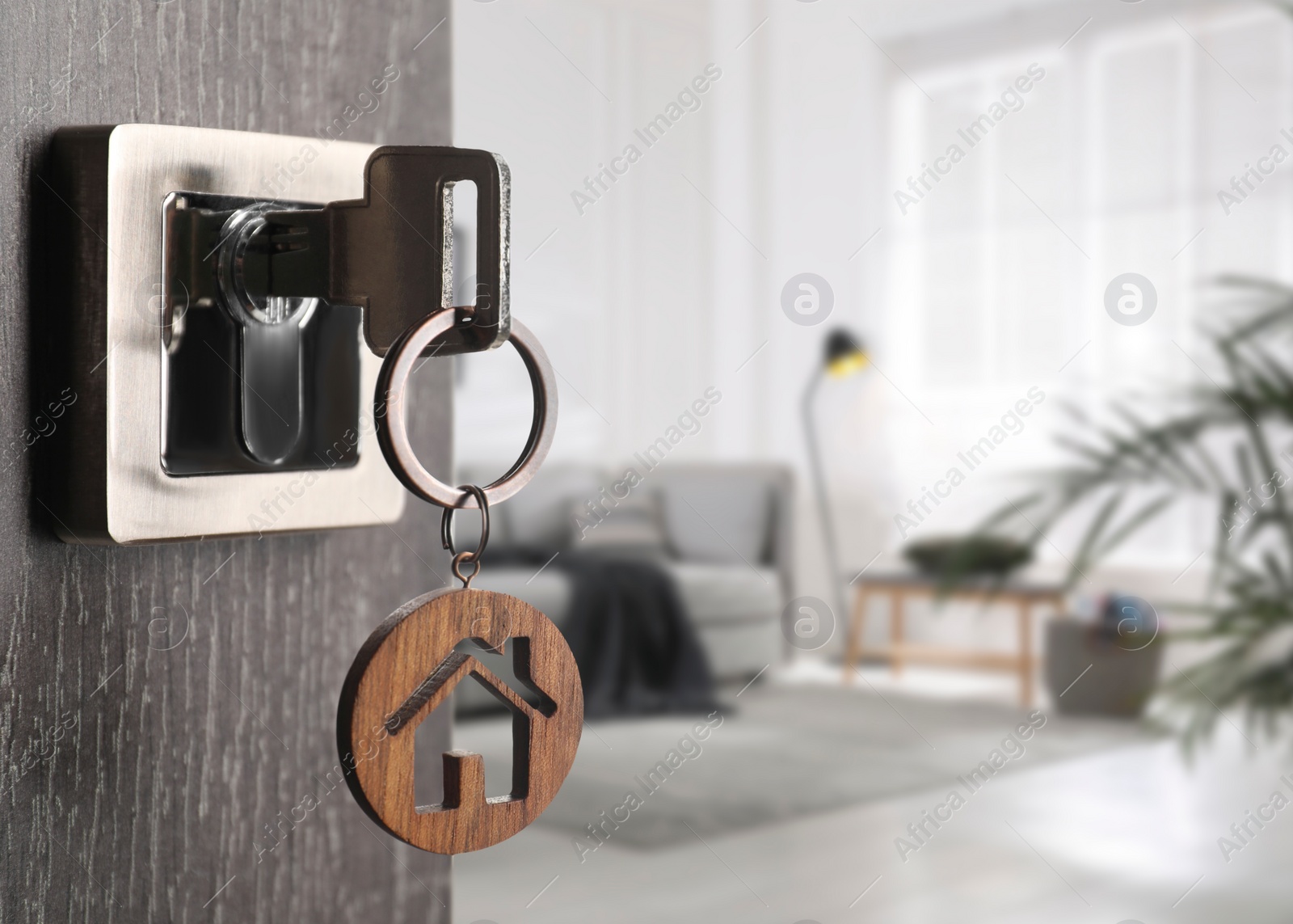 Image of Mortgage. Door with key open into room, space for text