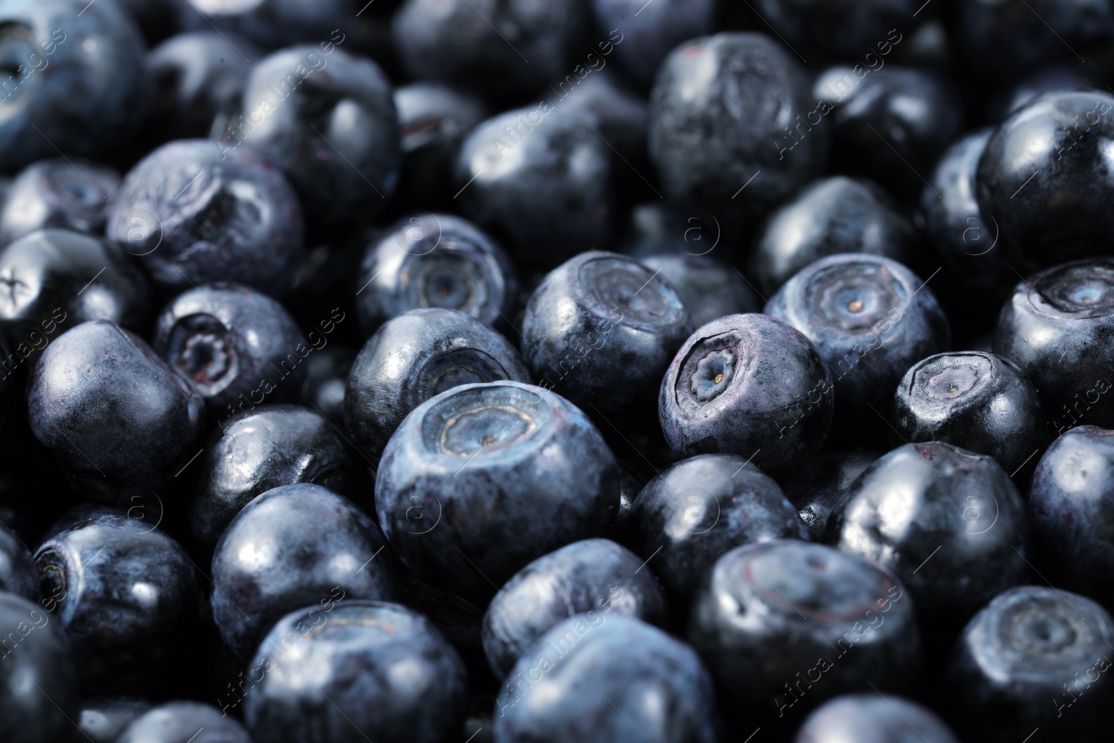 Photo of Many delicious ripe bilberries as background, closeup