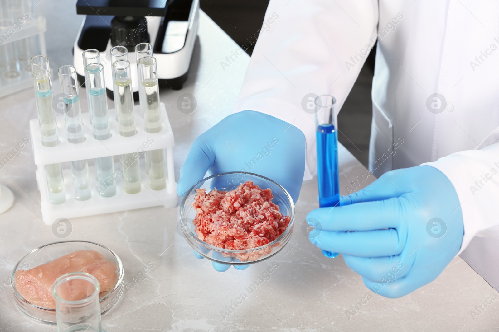 Photo of Scientist holding test tube and Petri dish with forcemeat over table in laboratory