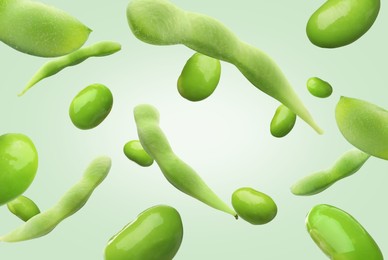 Image of Fresh edamame soybeans and pods falling on light aquamarine background