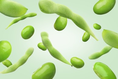 Fresh edamame soybeans and pods falling on light aquamarine background