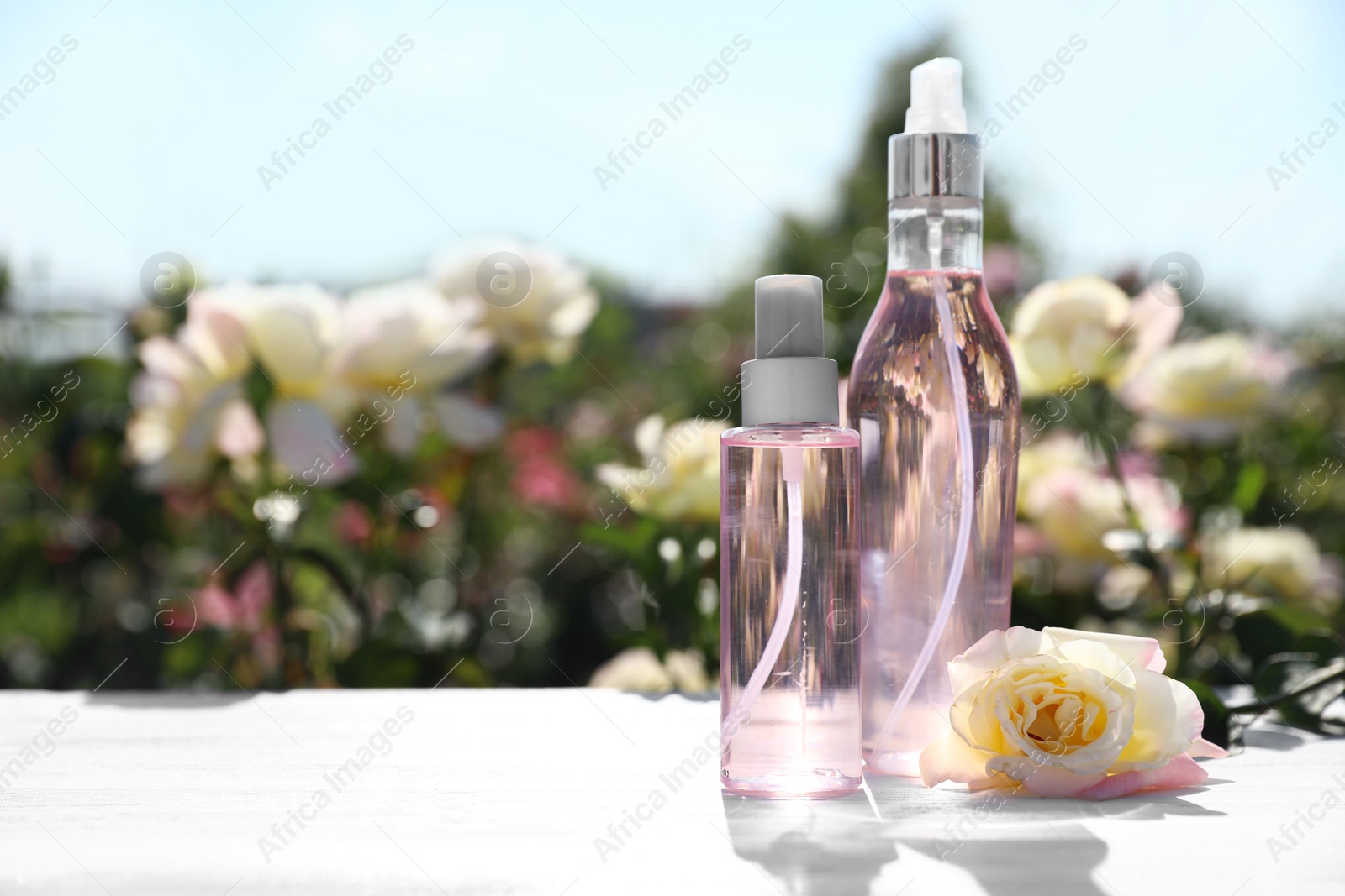 Photo of Bottles of facial toner with essential oil and fresh rose on table against blurred background. Space for text