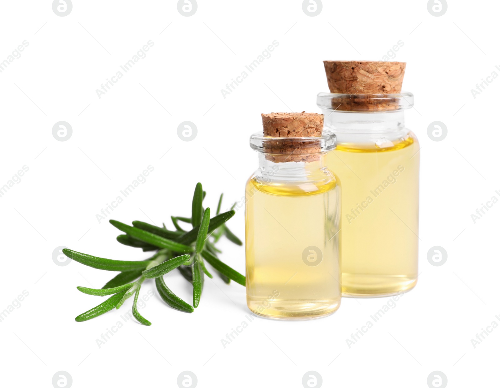 Photo of Sprig of fresh rosemary and essential oil on white background