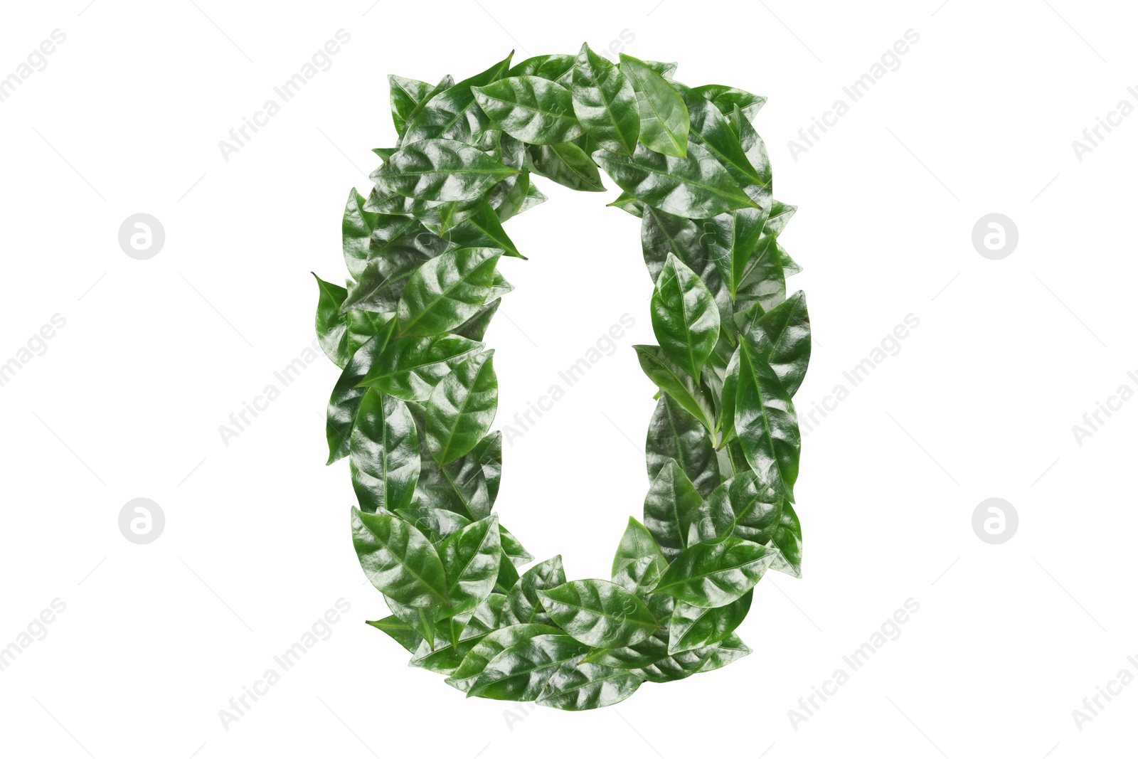 Image of Number 0 made of fresh green leaves on white background