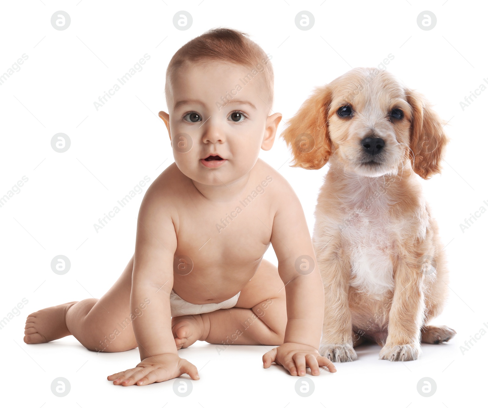 Image of Cute little baby with his pet on white background