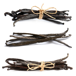 Image of Set with dried vanilla pods on white background