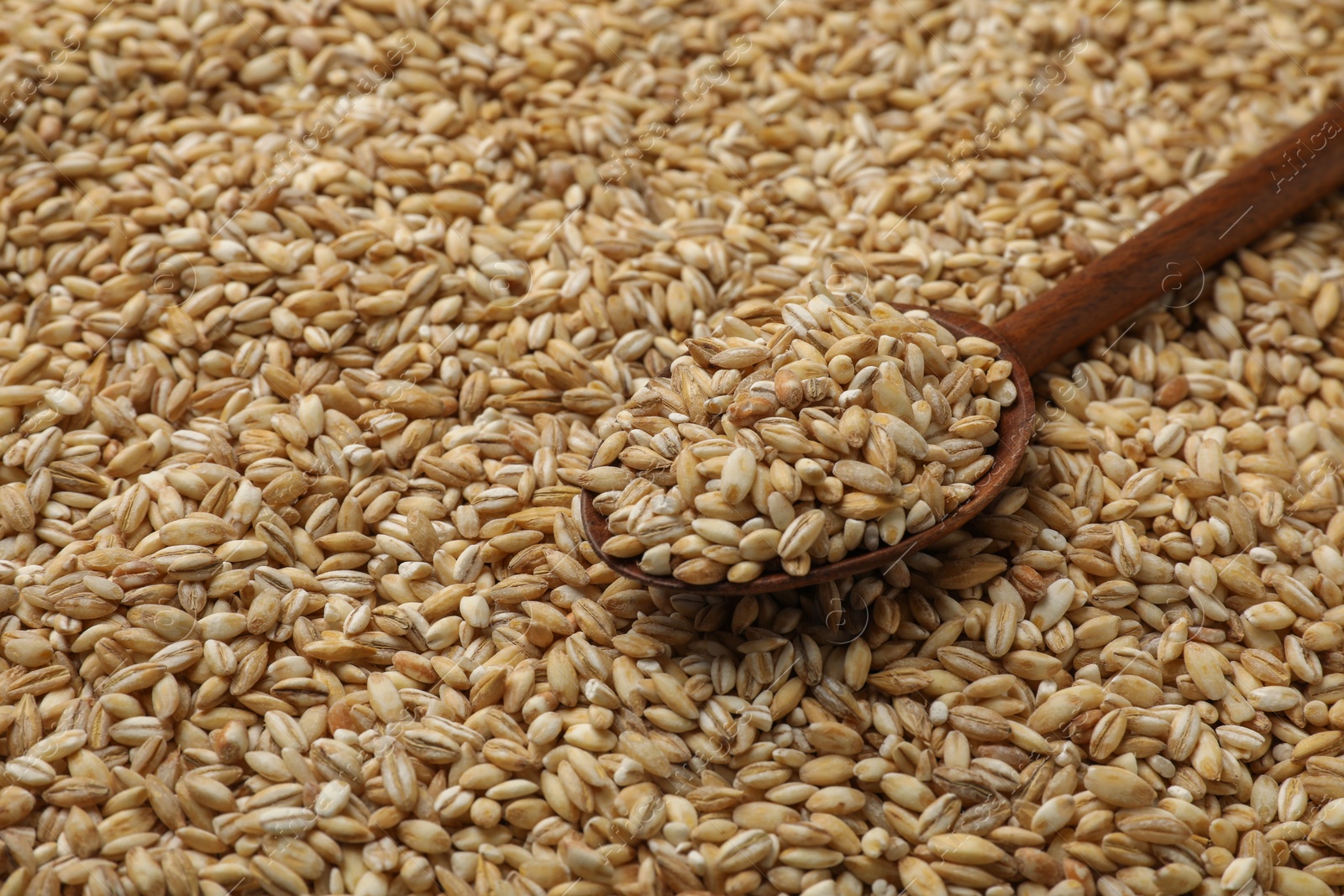 Photo of Wooden spoon with raw pearl barley, closeup. Space for text