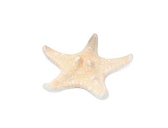 Photo of Beautiful sea star isolated on white. Beach object