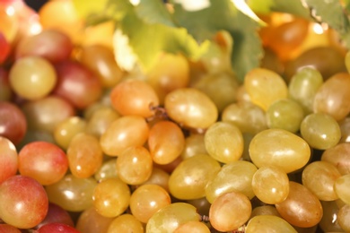 Fresh ripe juicy grapes as background, closeup